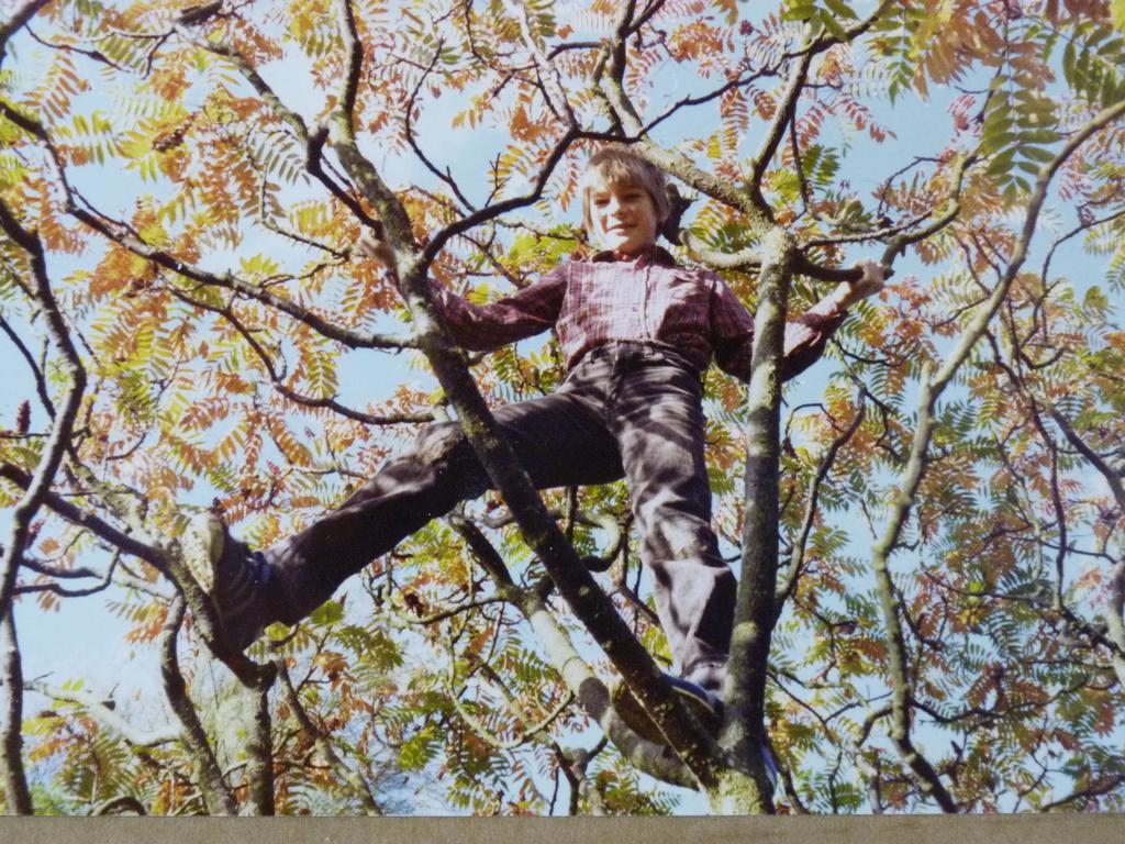 Clic pour l'image suivante