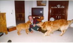 Clic pour agrandir l'image (1019x608 pixels; 83 KB)