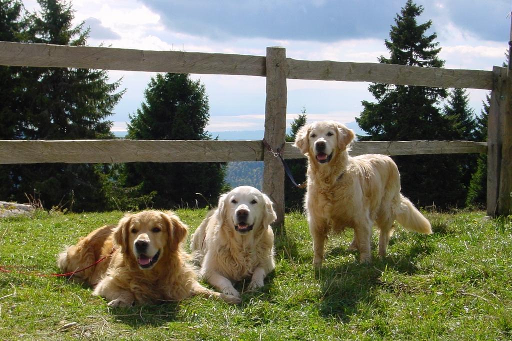 clic ici pour suivante