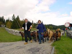 Clic pour agrandir l'image (1024x768 pixels; 126 KB)