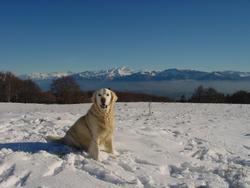 Clic pour agrandir l'image (1024x768 pixels; 89 KB)