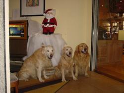 Clic pour agrandir l'image (1024x768 pixels; 97 KB)