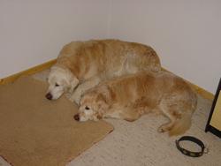 Clic pour agrandir l'image (1024x768 pixels; 75 KB)