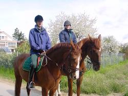 Clic pour agrandir l'image (1024x768 pixels; 146 KB)