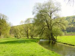 Click to see big picture (1024x768 pixels; 182 KB)