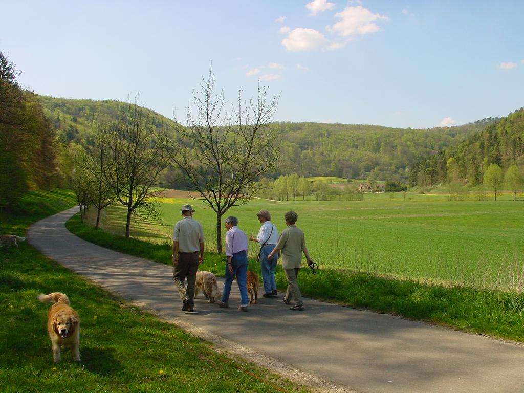 clic ici pour suivante