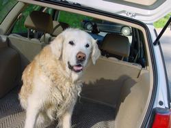 Clic pour agrandir l'image (1024x768 pixels; 112 KB)