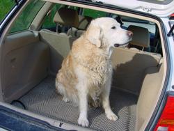 Clic pour agrandir l'image (1024x768 pixels; 120 KB)