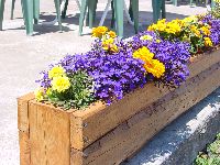 00806.jpg (599371 bytes)