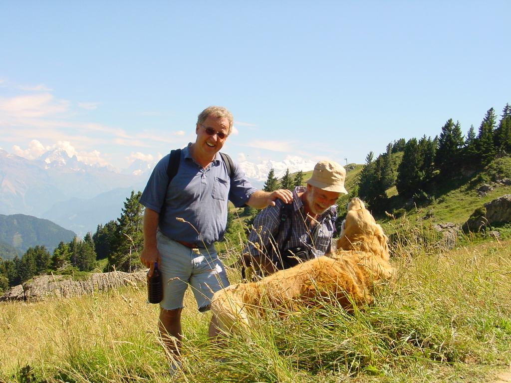 clic ici pour suivante