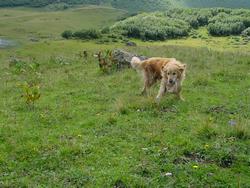 Clic pour agrandir l'image (1024x768 pixels; 218 KB)