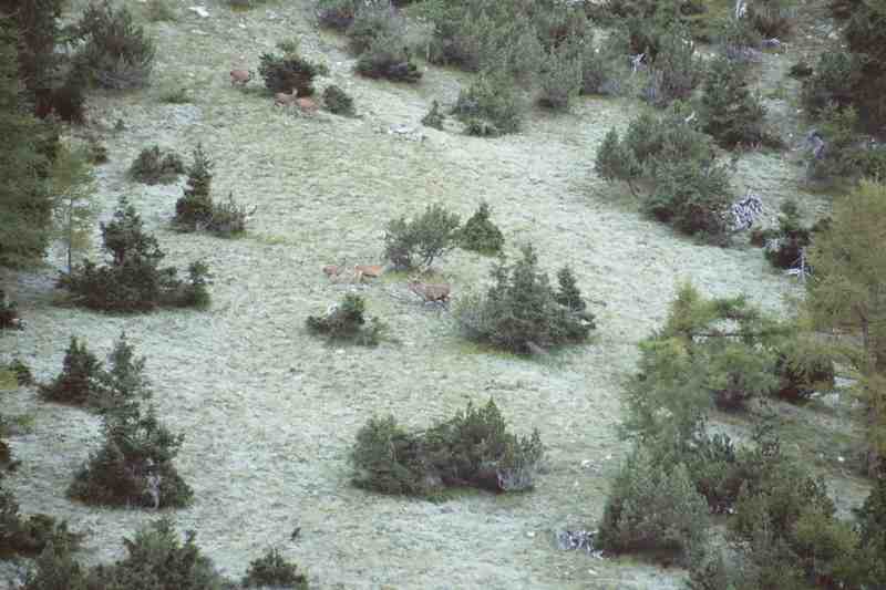 Clic ici pour voir l'image suivante