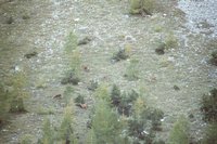 Cliquer pour agrandir l'image (800x533 :  39 KB pixels); 26.11.2002 00:26