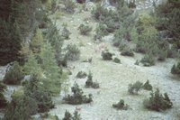 Cliquer pour agrandir l'image (800x533 :  33 KB pixels); 26.11.2002 00:26