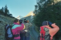 Cliquer pour agrandir l'image (800x533 :  30 KB pixels); 26.11.2002 00:26