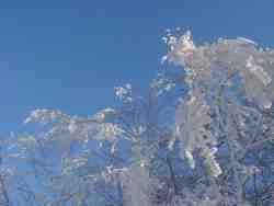 Clic pour agrandir l'îmage (1024x768 pixels; 108 KB)