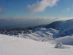 1618.jpg (53799 bytes)