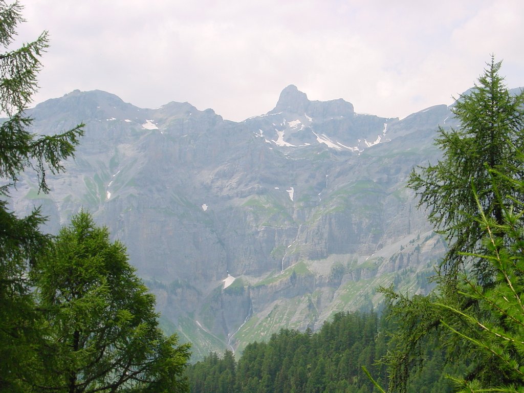 Cliquer pour voir l'image suivante