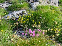 Clic pour agrandir l'image (1024x768 pixels; 277 KB)