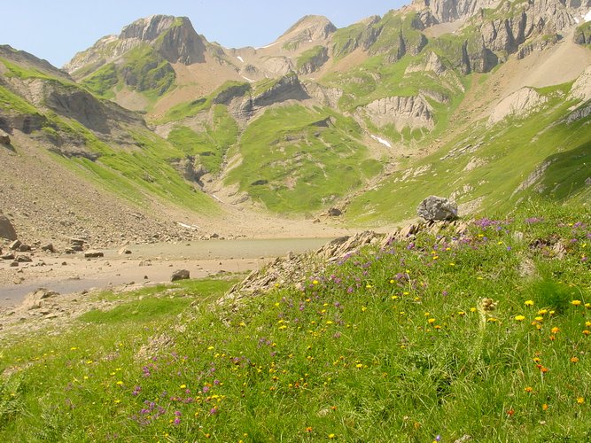 Click to see next picture