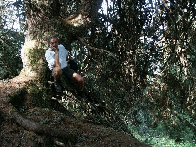 Click to see next picture