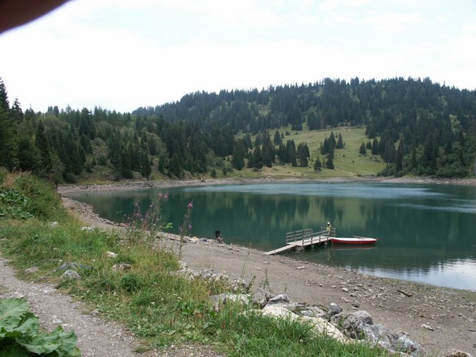 Click to see next picture