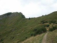 Click to see big picture (667x500 pixels; 76 KB)