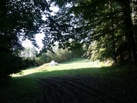 Click to see big picture (667x500 pixels; 128 KB)