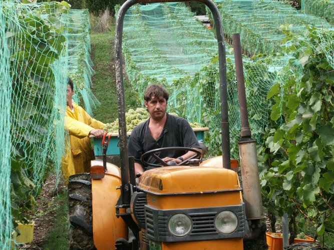 Click to see next picture