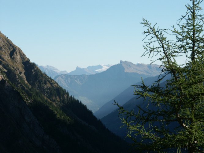 Click to see next picture