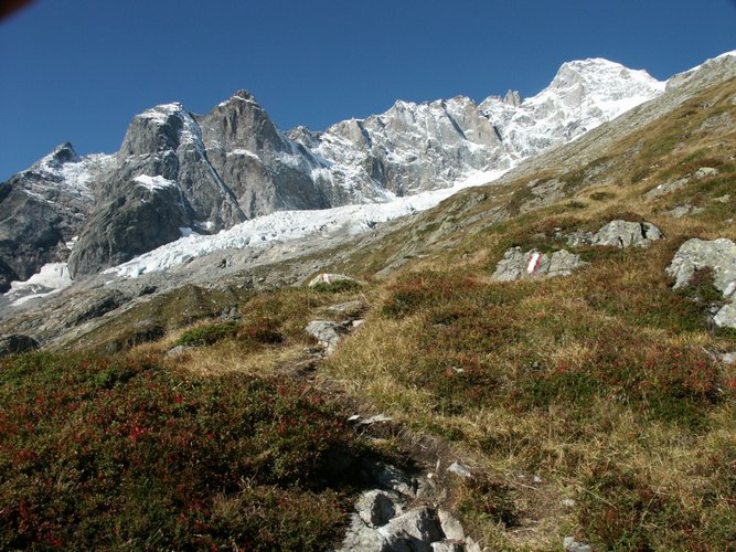 Click to see next picture