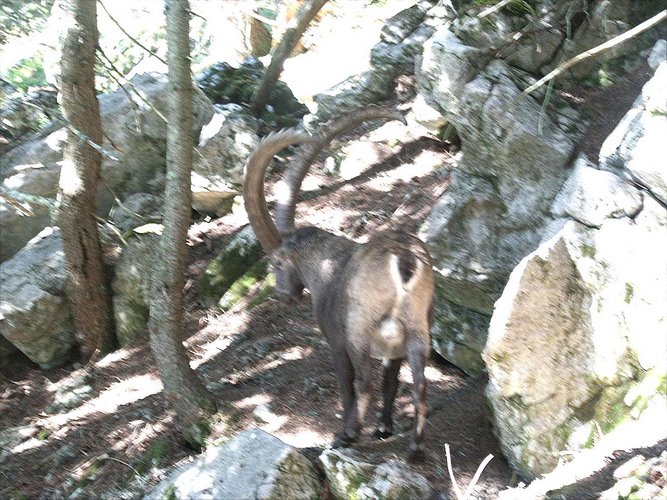 Click to see next picture