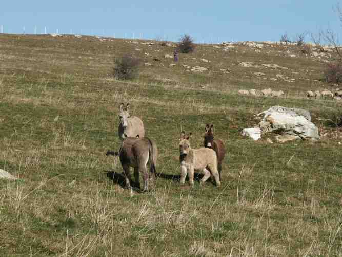 Click to see next picture