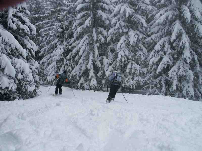 Clic ici pour voir l'image suivante