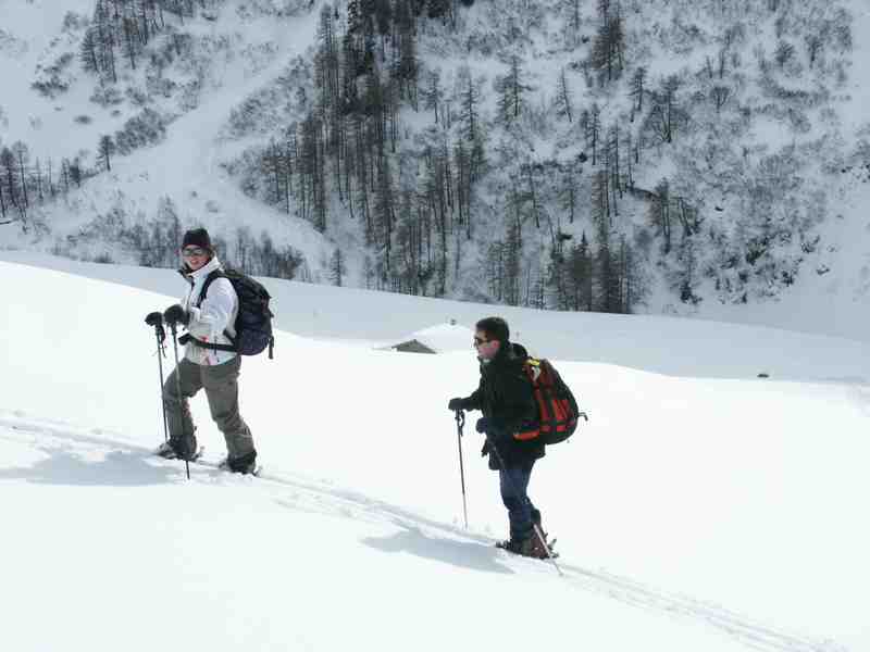 Clic ici pour voir l'image suivante