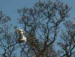 Cliquer pour agrandir l'image (800x600 :  75 KB pixels); 27.03.2004 14:46