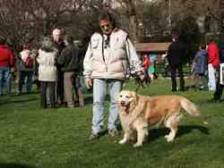 Cliquer pour agrandir l'image (800x600 :  64 KB pixels); 27.03.2004 15:50