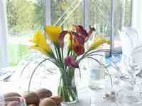 Cliquer pour agrandir l'image (800x600 :  33 KB pixels); 20.04.2004 11:55