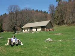 Clic pour agrandir l'image (1024x768 pixels; 160 KB)