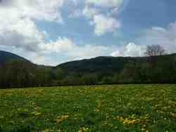 Cliquer pour agrandir l'image (800x600 :  35 KB pixels); 02.05.2004 11:25