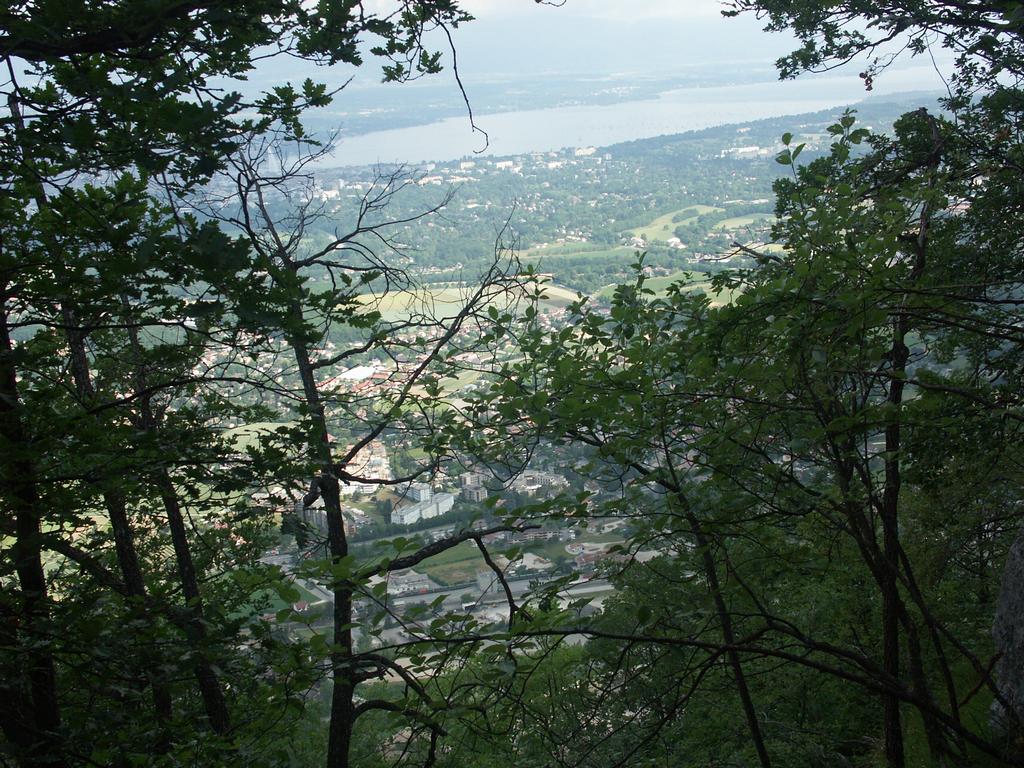 Cliquer pour voir l'image suivante