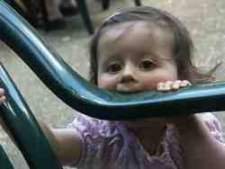 Cliquer pour agrandir l'image (800x600 :  25 KB pixels); 18.06.2004 14:01