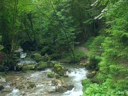 Clic pour agrandir l'image (1024x768 pixels; 205 KB)