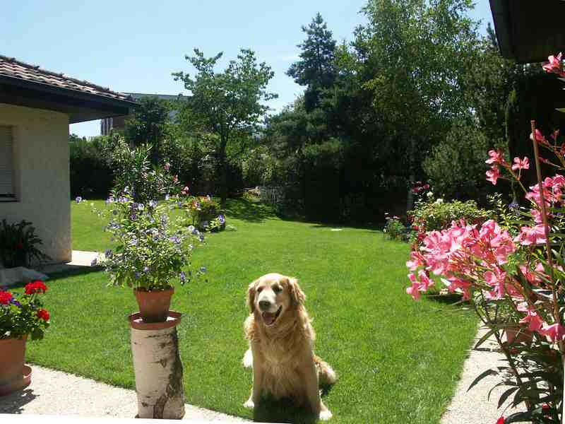 Clic ici pour voir l'image suivante