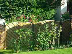 Cliquer pour agrandir l'image (800x600 :  68 KB pixels); 17.07.2004 08:21