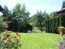 Cliquer pour agrandir l'image (800x600 :  48 KB pixels); 27.07.2004 13:41