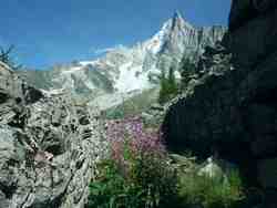 Cliquer pour agrandir l'image (1600x1200 pixels; 5625 KB)