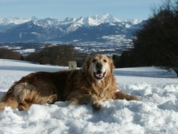 Cliquer pour agrandir l'image (1280x960 pixels; 3600 KB)