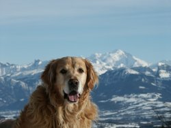 Cliquer pour agrandir l'image (1280x960 pixels; 3600 KB)