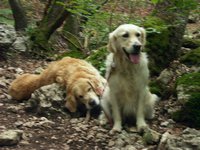 Cliquer pour agrandir l'image (1600x1200 pixels; 5625 KB)